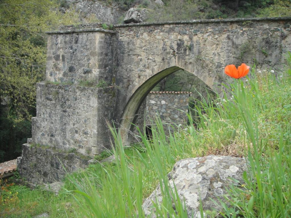 Pensjonat Archontiko I Misirlou Kalopanajotis Zewnętrze zdjęcie